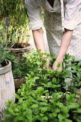 Skærmbillede 2022 06 08 Kl. 15.01.19